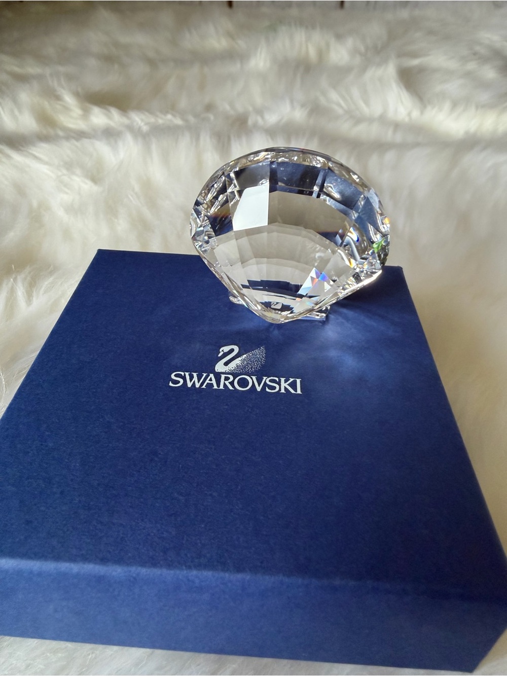 Swarovski Retired Crystal Seashell Figurine Paperweight with Original Box